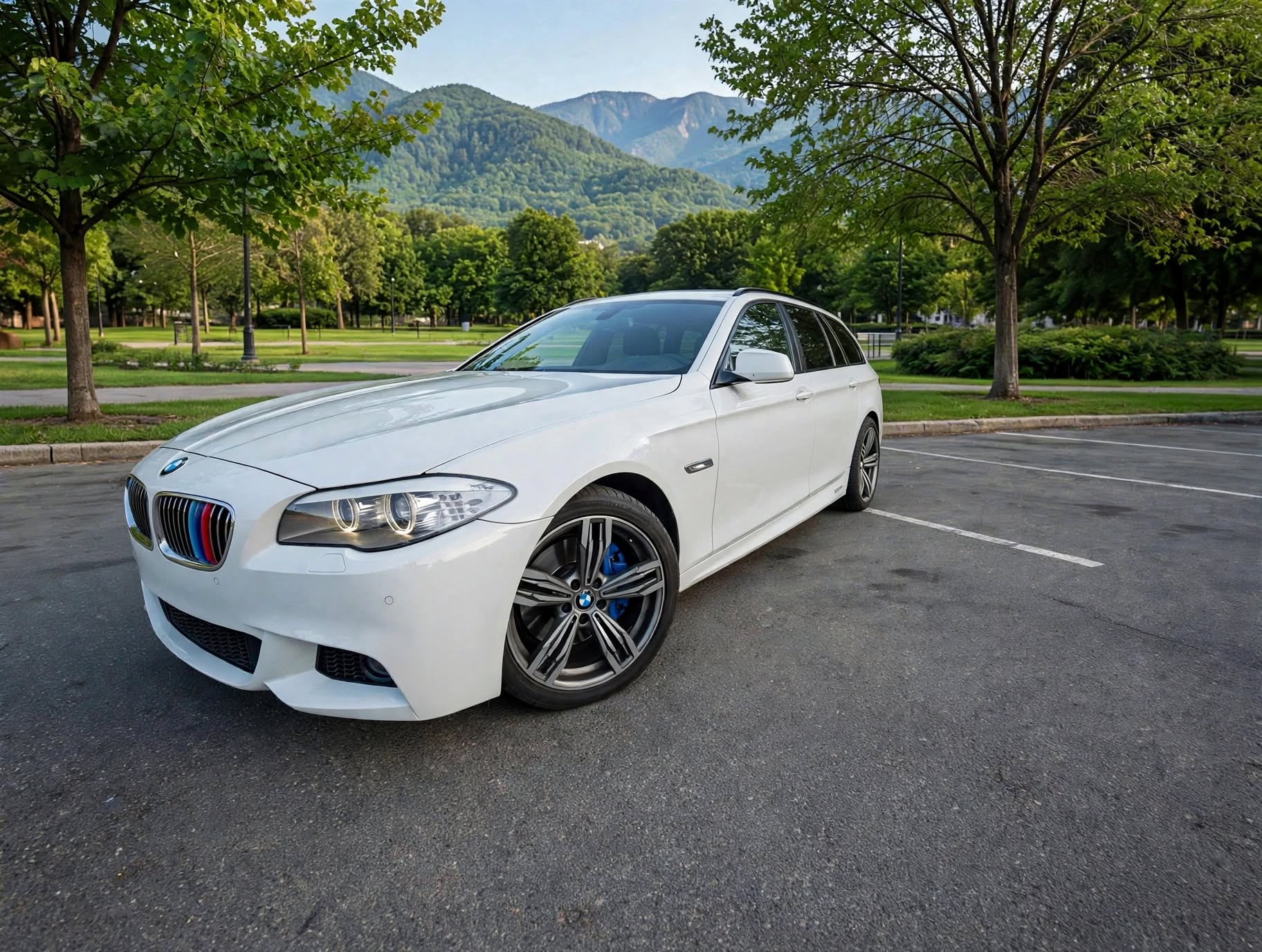 
								BMW 535d Touring Pack M — 313 CV (380 CV reprogramado) full									